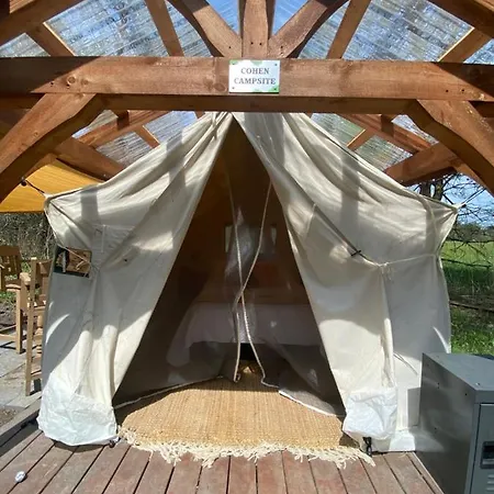 Dreamers Writing Farm, 3 Wooded Acres, Hepworth Sauble Beach Extérieur photo