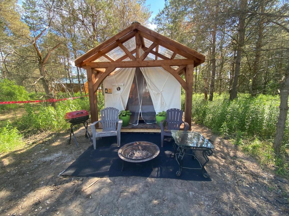 Campsite Dreamers Writing Farm, 3 Wooded Acres, Hepworth Sauble Beach