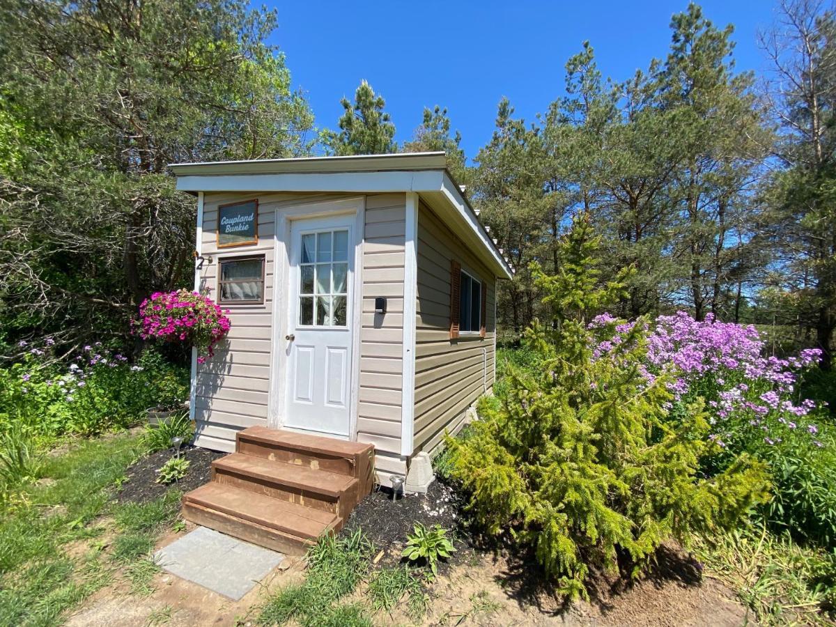 Campsite Dreamers Writing Farm, 3 Wooded Acres, Hepworth Sauble Beach