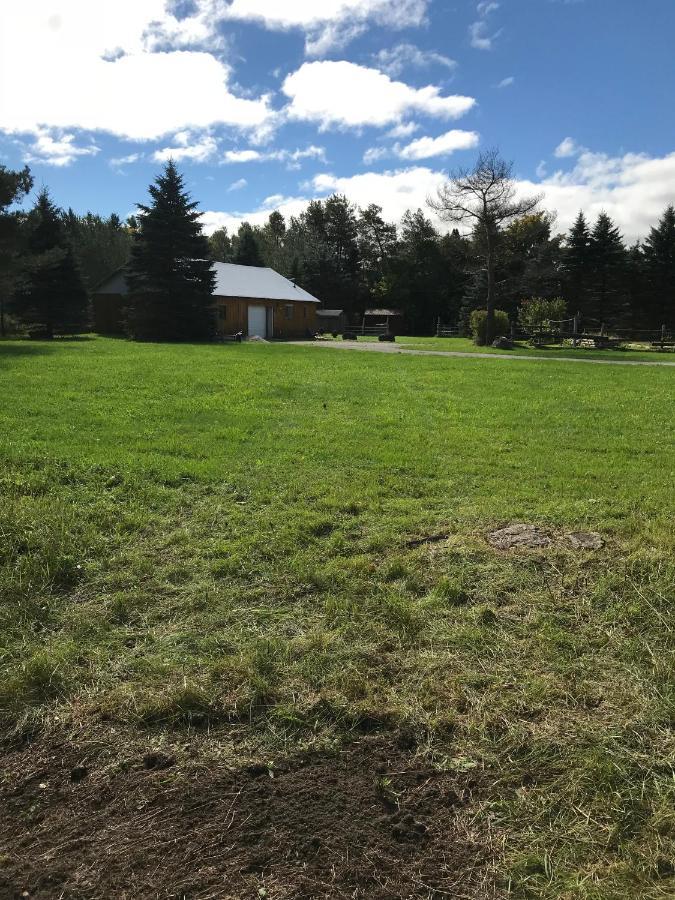 Dreamers Writing Farm, 3 Wooded Acres, Hepworth