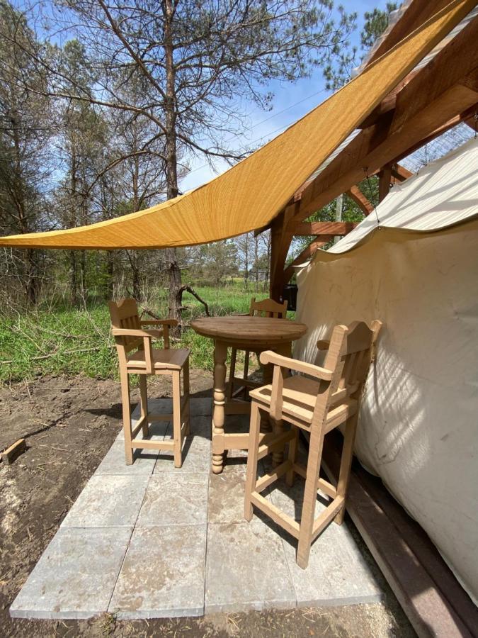 Dreamers Writing Farm, 3 Wooded Acres, Hepworth * Sauble Beach