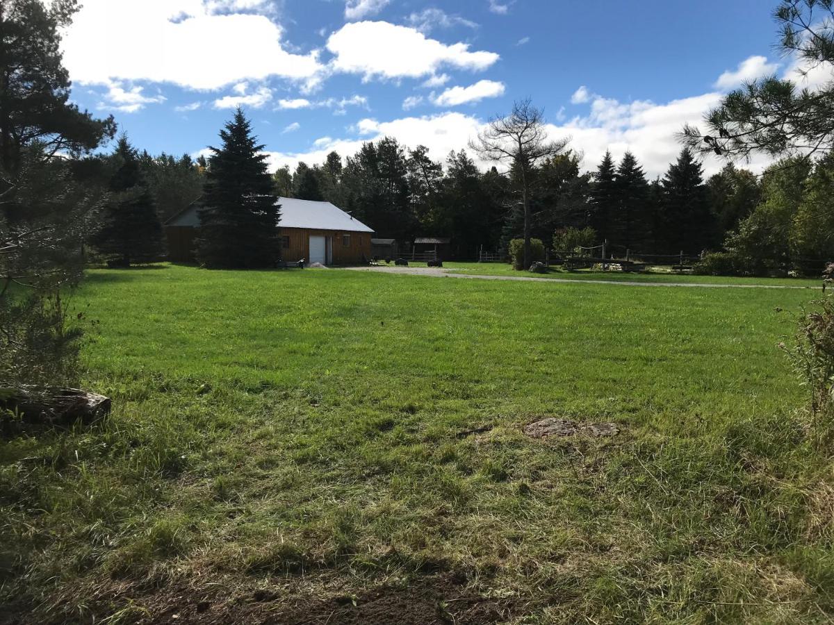 Campsite Dreamers Writing Farm, 3 Wooded Acres, Hepworth Sauble Beach