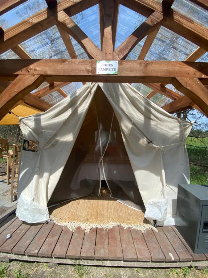 Dreamers Writing Farm, 3 Wooded Acres, Hepworth Sauble Beach