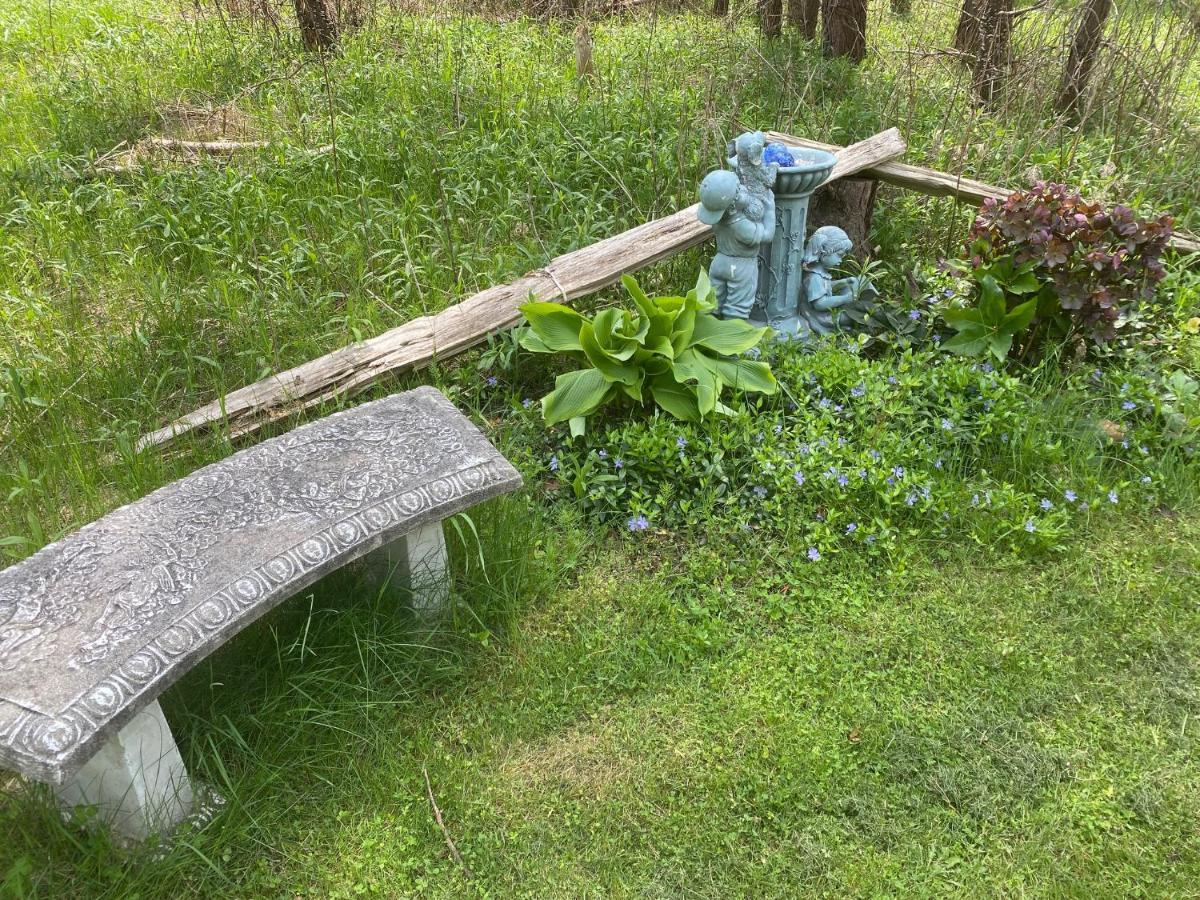 Dreamers Writing Farm, 3 Wooded Acres, Hepworth Campsite *