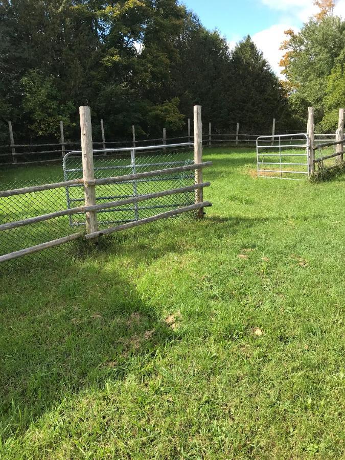 Dreamers Writing Farm, 3 Wooded Acres, Hepworth Campsite *
