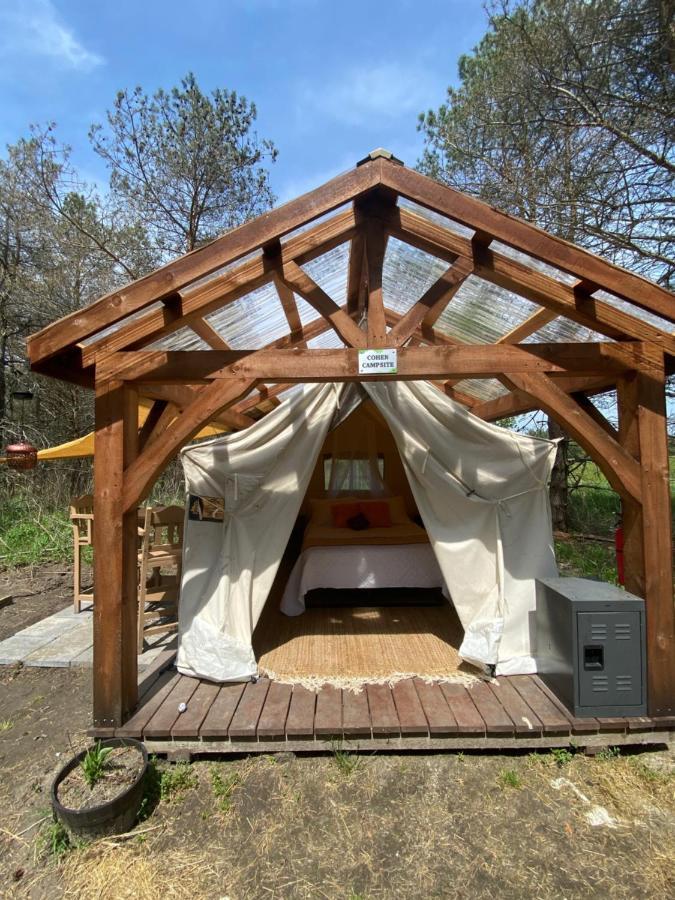Dreamers Writing Farm, 3 Wooded Acres, Hepworth * Sauble Beach